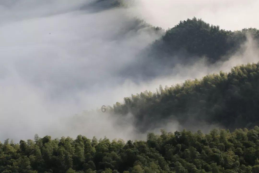 分手后到底要不要复合呢?游戏画面